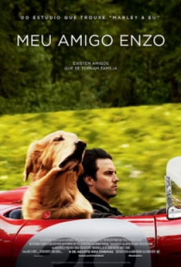 MEU AMIGO ENZO